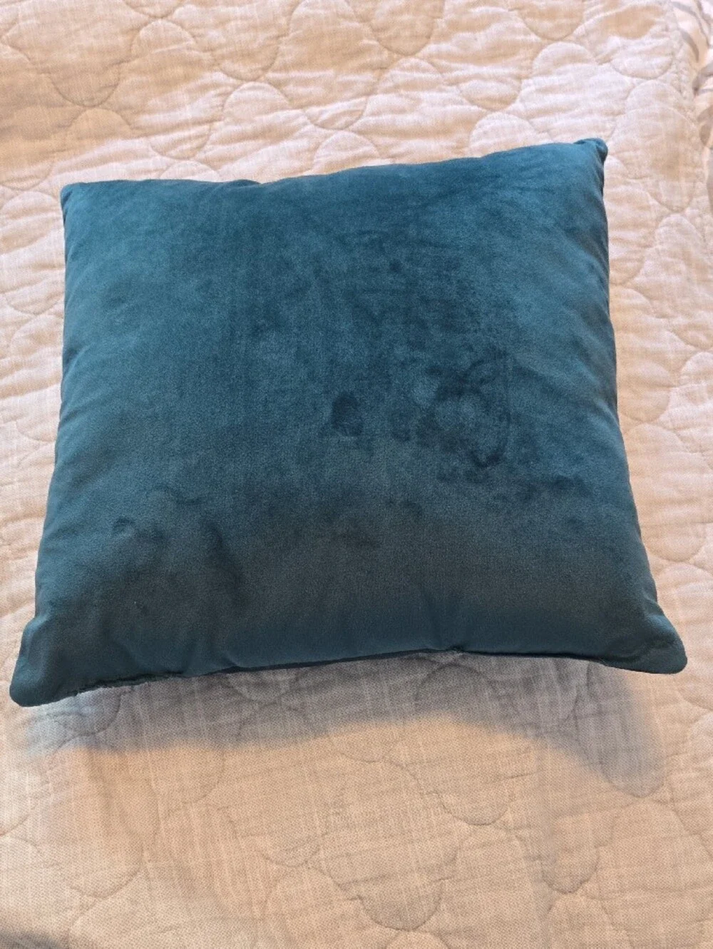 Teal 